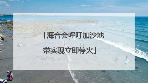 海合会呼吁加沙地带实现立即停火