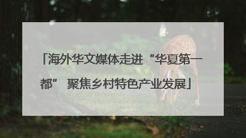 海外华文媒体走进“华夏第一都” 聚焦乡村特色产业发展