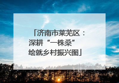 济南市莱芜区：深耕“一株桑” 绘就乡村振兴图