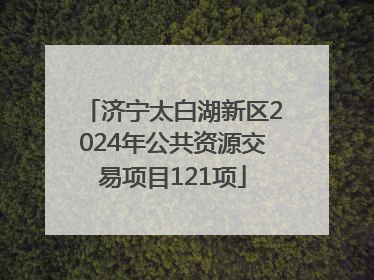 济宁太白湖新区2024年公共资源交易项目121项