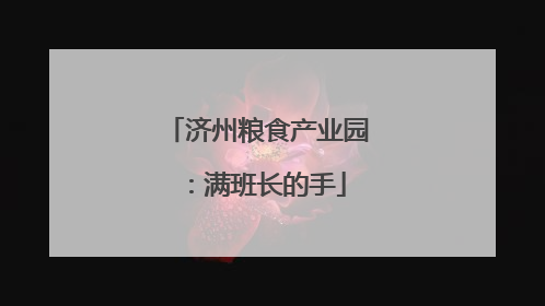 济州粮食产业园：满班长的手