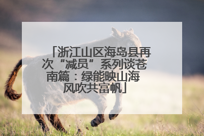 浙江山区海岛县再次“减员”系列谈苍南篇：绿能映山海 风吹共富帆