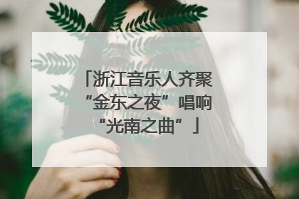 浙江音乐人齐聚“金东之夜”唱响“光南之曲”