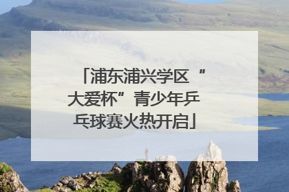 浦东浦兴学区“大爱杯”青少年乒乓球赛火热开启