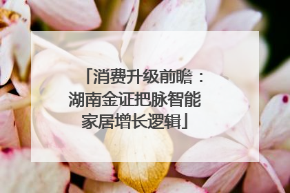 消费升级前瞻：湖南金证把脉智能家居增长逻辑
