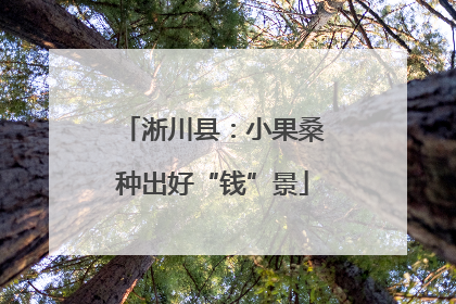 淅川县：小果桑种出好“钱”景