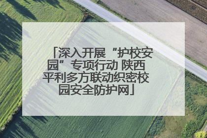 深入开展“护校安园”专项行动 陕西平利多方联动织密校园安全防护网