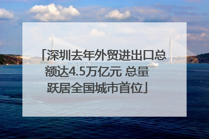 深圳去年外贸进出口总额达4.5万亿元 总量跃居全国城市首位