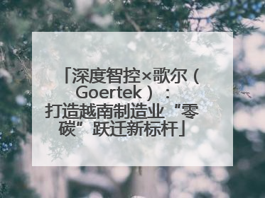 深度智控×歌尔（Goertek）：打造越南制造业“零碳”跃迁新标杆