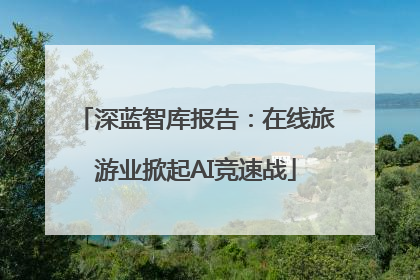 深蓝智库报告：在线旅游业掀起AI竞速战