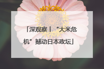 深观察丨“大米危机”撼动日本政坛