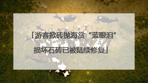 游客掀砖抛海赏“蓝眼泪” 损坏石砖已被陆续修复