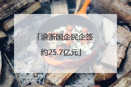 渝浙国企民企签约25.7亿元