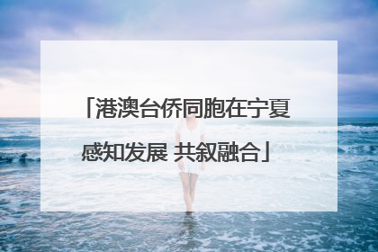 港澳台侨同胞在宁夏感知发展 共叙融合