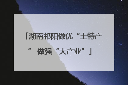 湖南祁阳做优“土特产” 做强“大产业”