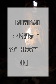 湖南临湘：小浮标“钓”出大产业