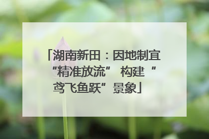 湖南新田：因地制宜“精准放流” 构建“鸢飞鱼跃”景象