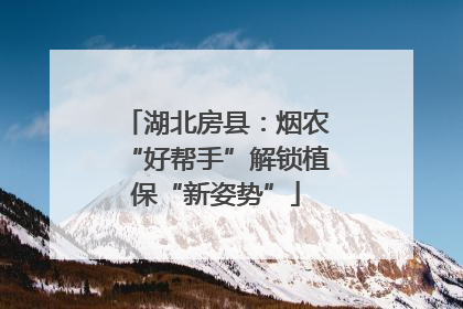 湖北房县：烟农“好帮手”解锁植保“新姿势”