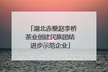 湖北赤壁赵李桥茶业创建民族团结进步示范企业