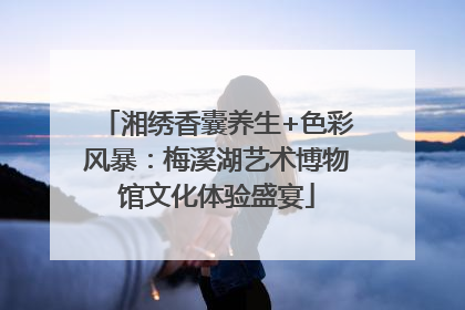 湘绣香囊养生+色彩风暴：梅溪湖艺术博物馆文化体验盛宴