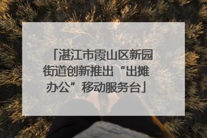湛江市霞山区新园街道创新推出“出摊办公”移动服务台