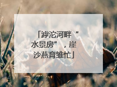 滹沱河畔“水景房”，崖沙燕育雏忙