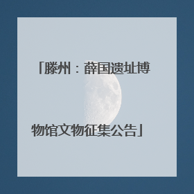 滕州：薛国遗址博物馆文物征集公告
