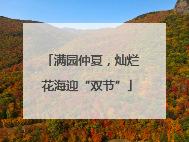 满园仲夏，灿烂花海迎“双节”