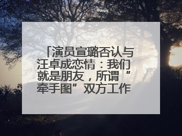 演员宣璐否认与汪卓成恋情：我们就是朋友，所谓“牵手图”双方工作人员均在场