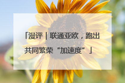 漫评｜联通亚欧，跑出共同繁荣“加速度”