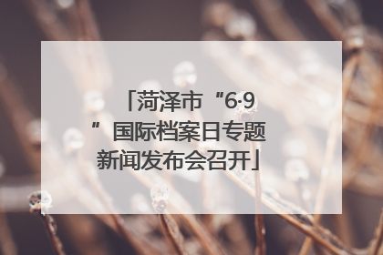 菏泽市“6·9”国际档案日专题新闻发布会召开