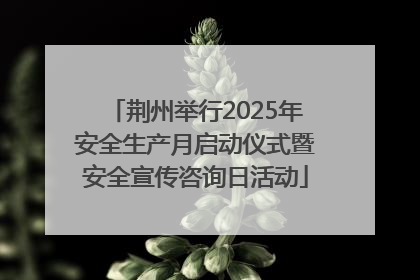 荆州举行2025年安全生产月启动仪式暨安全宣传咨询日活动