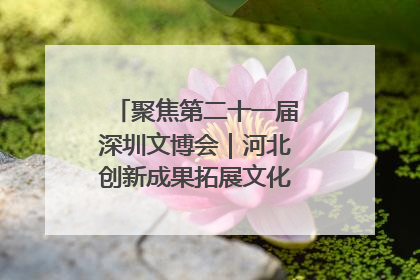 聚焦第二十一届深圳文博会｜河北创新成果拓展文化产业“朋友圈”