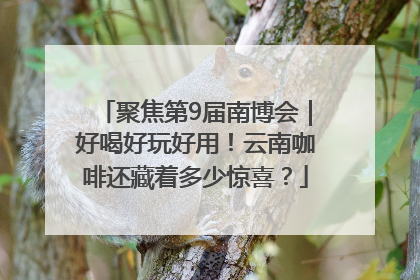 聚焦第9届南博会｜好喝好玩好用！云南咖啡还藏着多少惊喜？