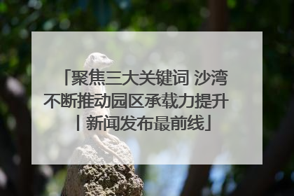 聚焦三大关键词 沙湾不断推动园区承载力提升丨新闻发布最前线