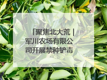 聚焦北大荒｜军川农场有限公司开展禁种铲毒排查宣传行动