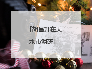胡昌升在天水市调研