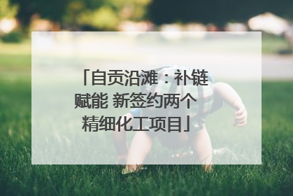 自贡沿滩：补链赋能 新签约两个精细化工项目