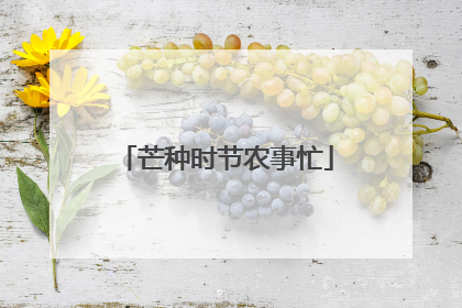 芒种时节农事忙