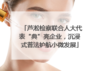 芦淞检察联合人大代表“典”亮企业，沉浸式普法护航小微发展