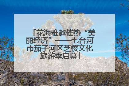 花海雅趣催热“美丽经济”——七台河市茄子河区芝樱文化旅游季启幕