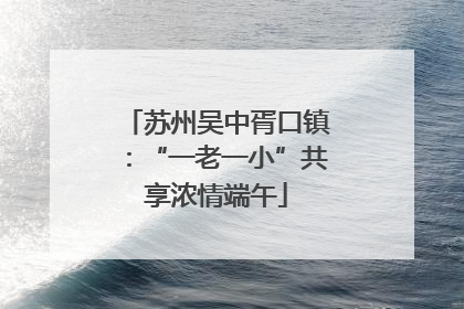 苏州吴中胥口镇：“一老一小”共享浓情端午