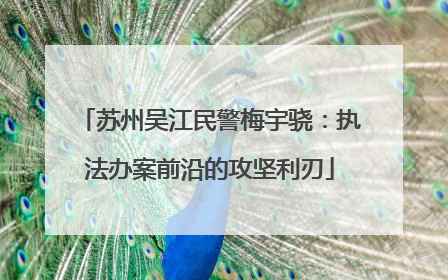 苏州吴江民警梅宇骁：执法办案前沿的攻坚利刃