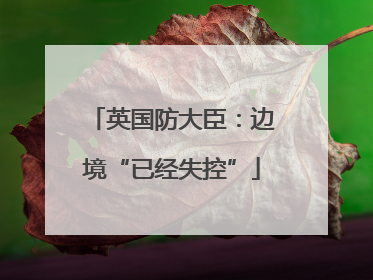 英国防大臣：边境“已经失控”