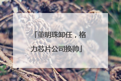 董明珠卸任，格力芯片公司换帅