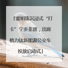 董明珠沉浸式“打卡”宁乡非遗，出席格力钛新能源公交车投放启动式