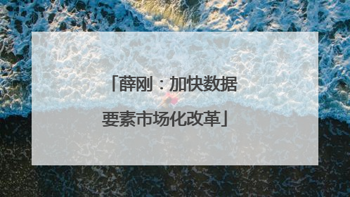 薛刚：加快数据要素市场化改革