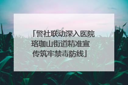 警社联动深入医院 珞珈山街道精准宣传筑牢禁毒防线