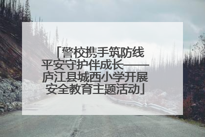 警校携手筑防线 平安守护伴成长——庐江县城西小学开展安全教育主题活动
