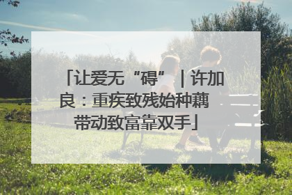 让爱无“碍”｜许加良：重疾致残始种藕 带动致富靠双手